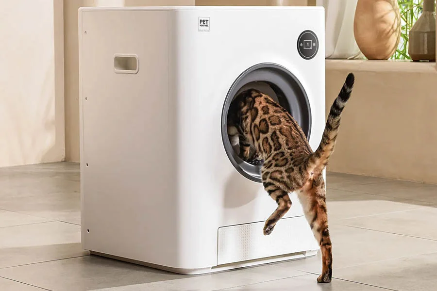 best auto cleaning litter box